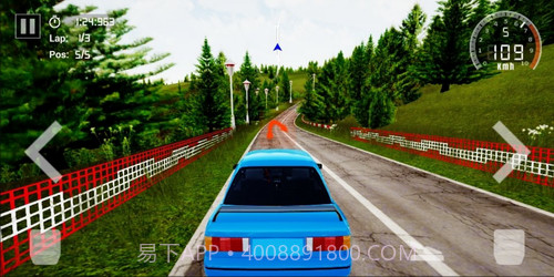 最终拉力赛截图3