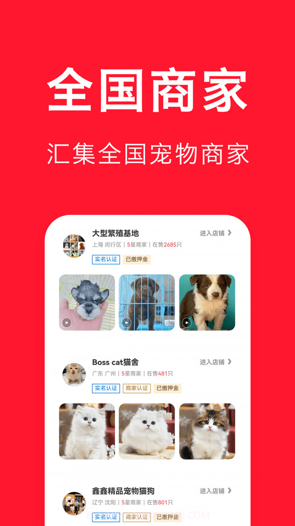 宠物宝截图2 宠物宝截图2