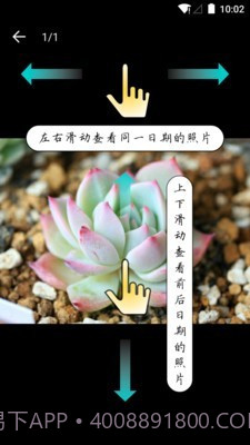 多肉成长记截图4 多肉成长记截图4