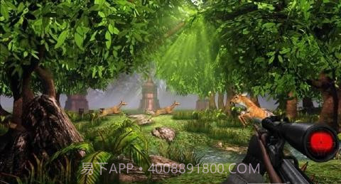 野生鹿狩猎截图2