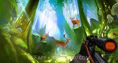 野生鹿狩猎截图1