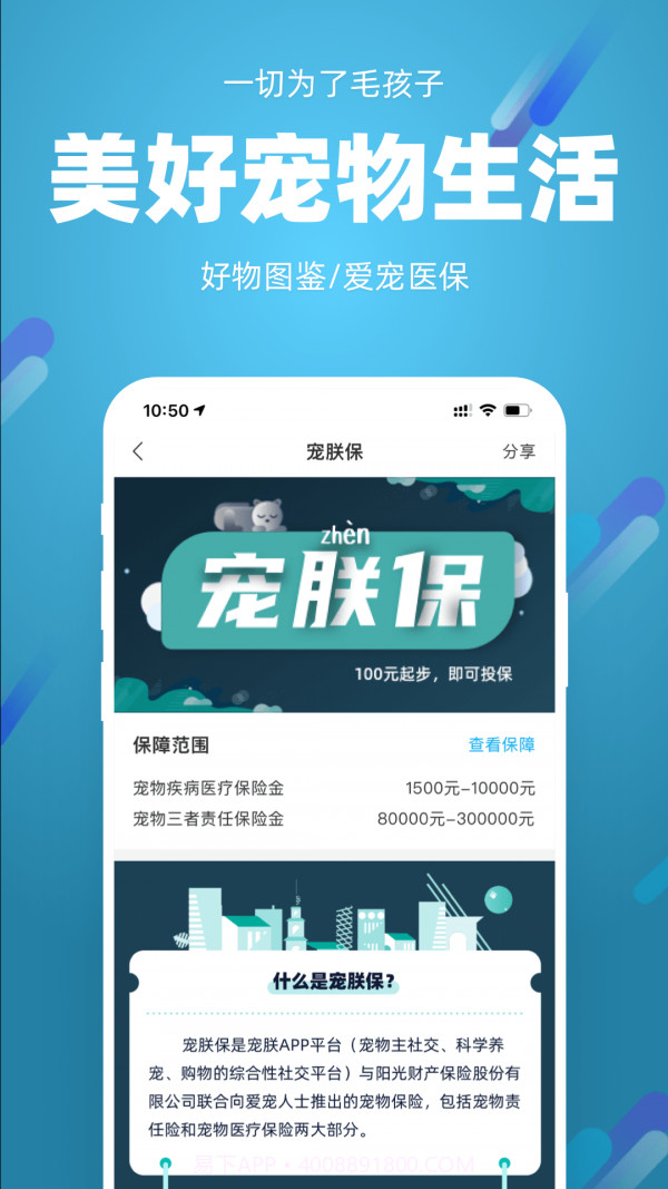 宠朕截图4 宠朕截图4