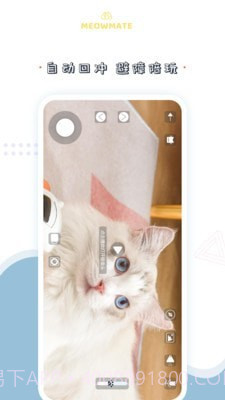 MeowMate截图2
