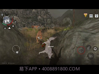 wolf online 2截图2