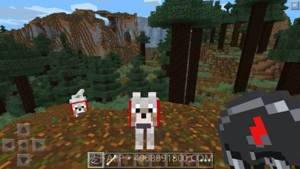 minecraft国际基岩版截图4