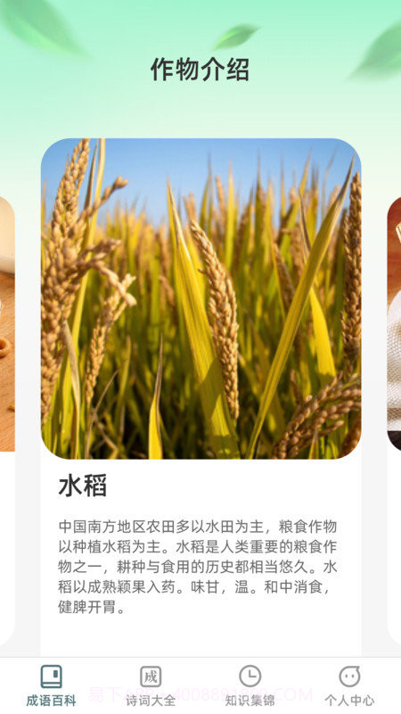 农田拾光截图1 农田拾光截图1