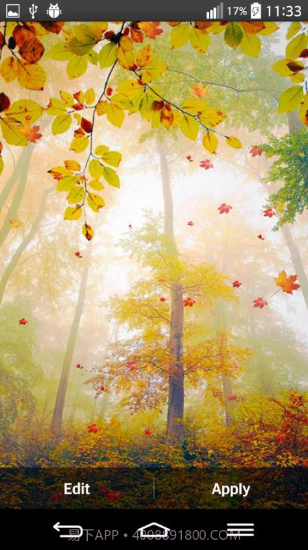 Autumn截图3 Autumn截图3