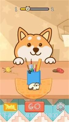 躲猫猫小狗与小猫截图3