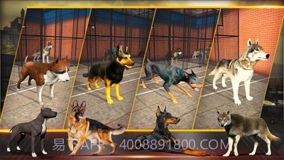 特别行动小组2单机版截图3