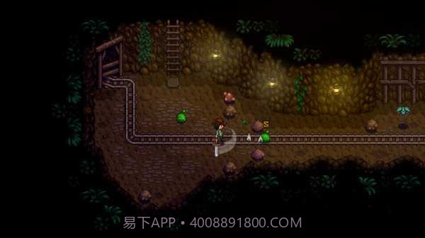 星露谷物语无限金币无限物品截图2