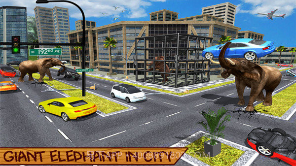 野生大象模拟器截图1 野生大象模拟器截图1