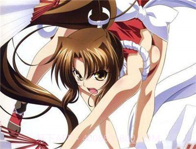 不知火传说截图2