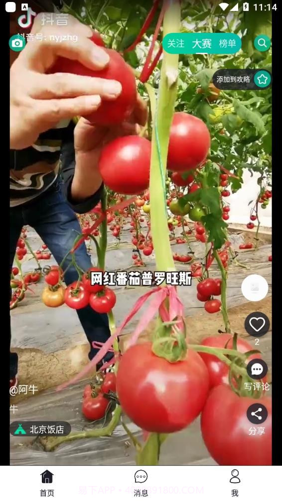 彼方短视频截图3