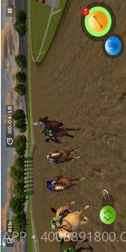 Derby Horse Quest截图4