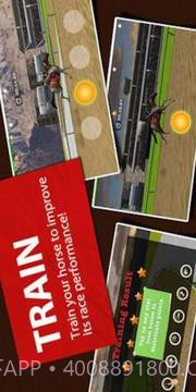 Derby Horse Quest截图5