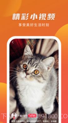 爱情岛视频截图1