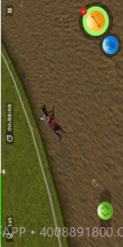 Derby Horse Quest截图2