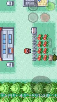 口袋妖怪 绿叶版截图4