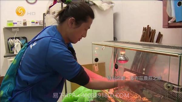 大视界tv港澳台版截图3 大视界tv港澳台版截图3