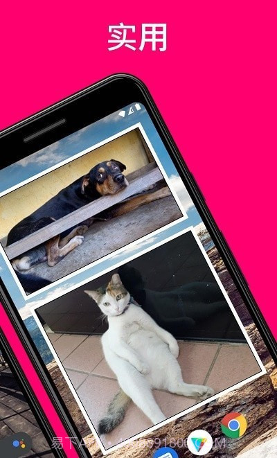 照片小组件截图2