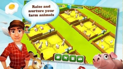 牧场的农业小镇截图3