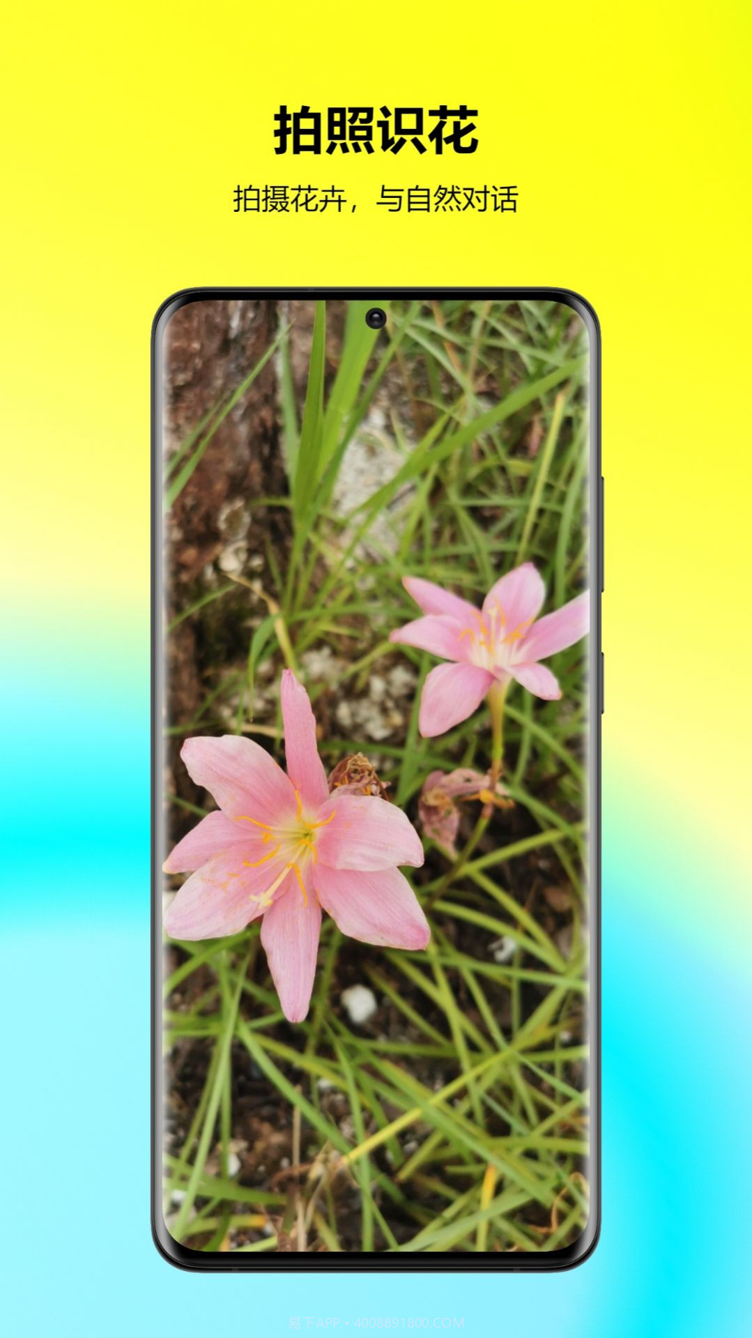 万能拍照识花截图1 万能拍照识花截图1
