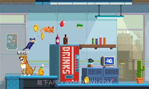 疯狂破坏猫截图3 疯狂破坏猫截图3