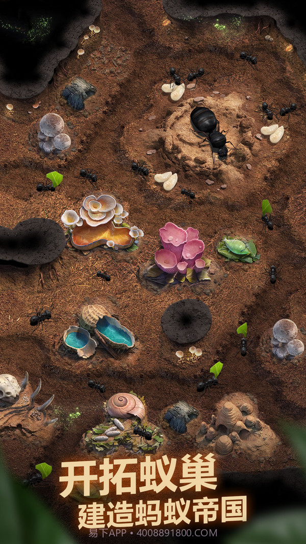 小小蚁国截图2 小小蚁国截图2