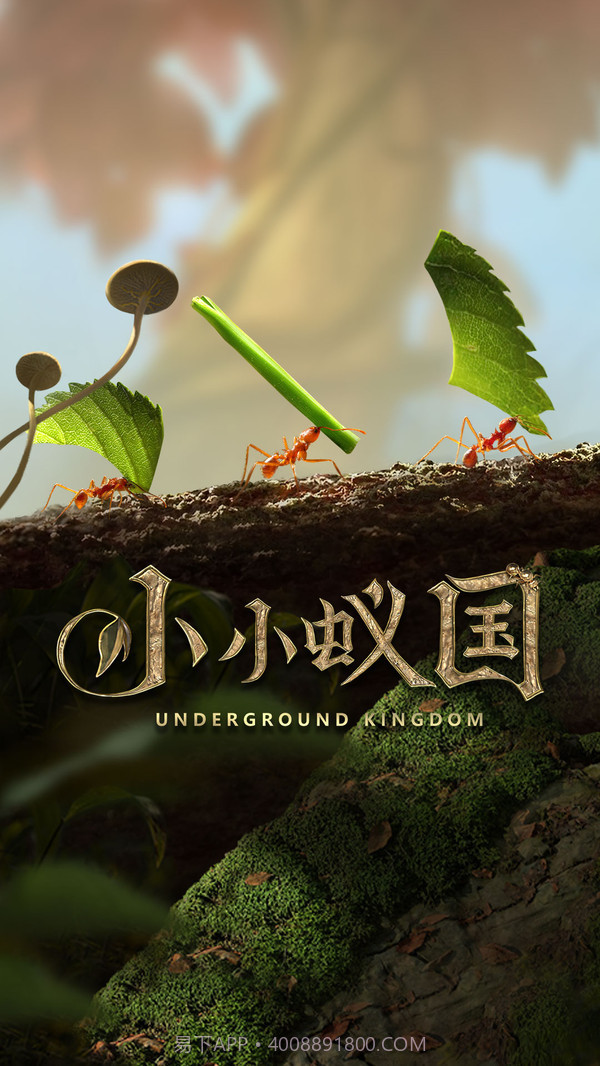 小小蚁国截图1 小小蚁国截图1