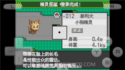 口袋妖怪白截图3