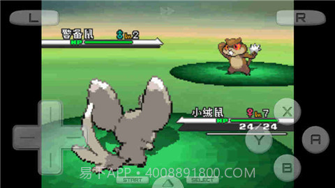 口袋妖怪白截图1