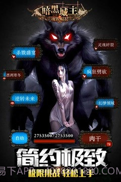 暗黑城主单机版截图5