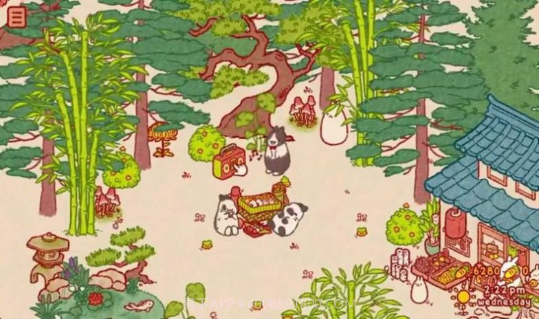 兔兔岛免广告版截图2