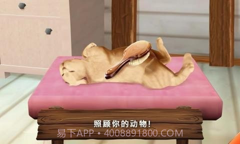 动物旅馆中文截图3 动物旅馆中文截图3