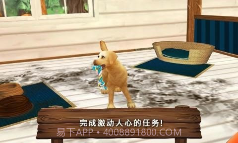 动物旅馆中文截图5 动物旅馆中文截图5