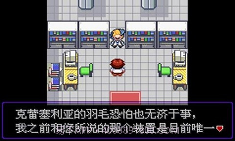 口袋妖怪漆黑的魅影5.0截图4