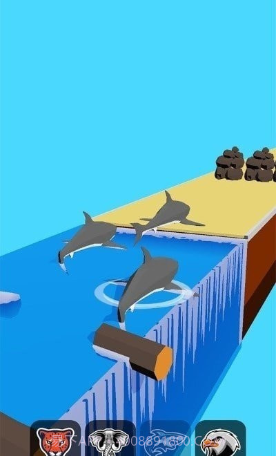 新动物变形截图1 新动物变形截图1