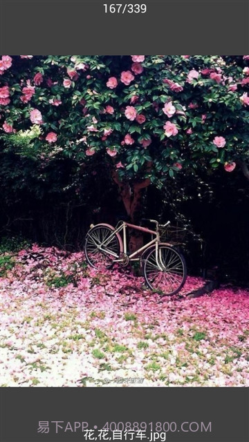 All图片批量下载截图3