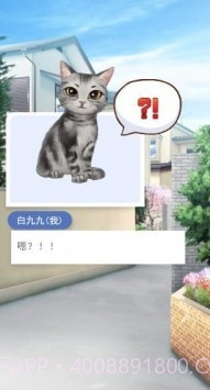 我的猫咪小女友截图2 我的猫咪小女友截图2
