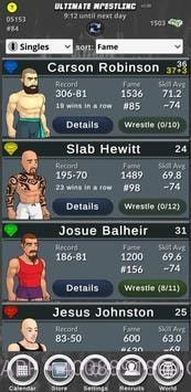 终极摔跤经理截图3