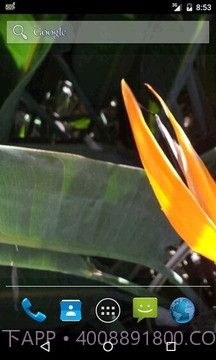 电池指示灯免费截图4