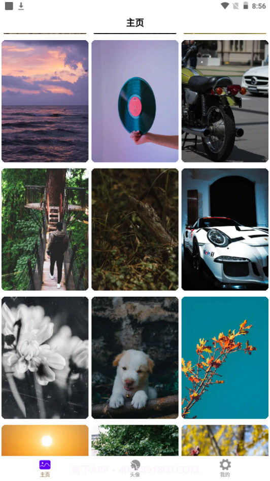 秀彩壁纸截图3 秀彩壁纸截图3