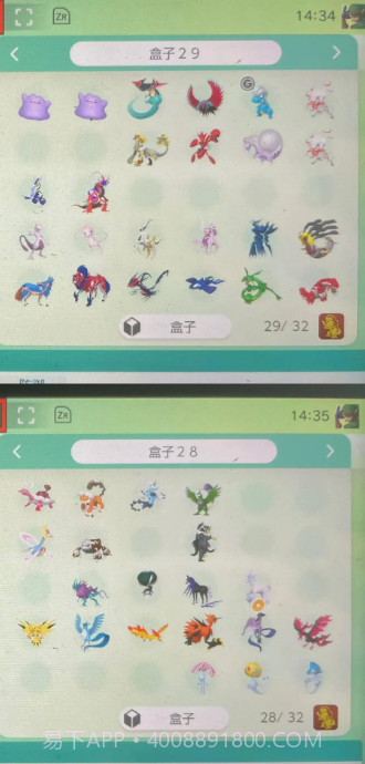 宝可梦Home国际服截图3