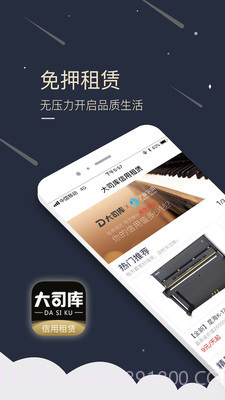 大司库租赁截图1