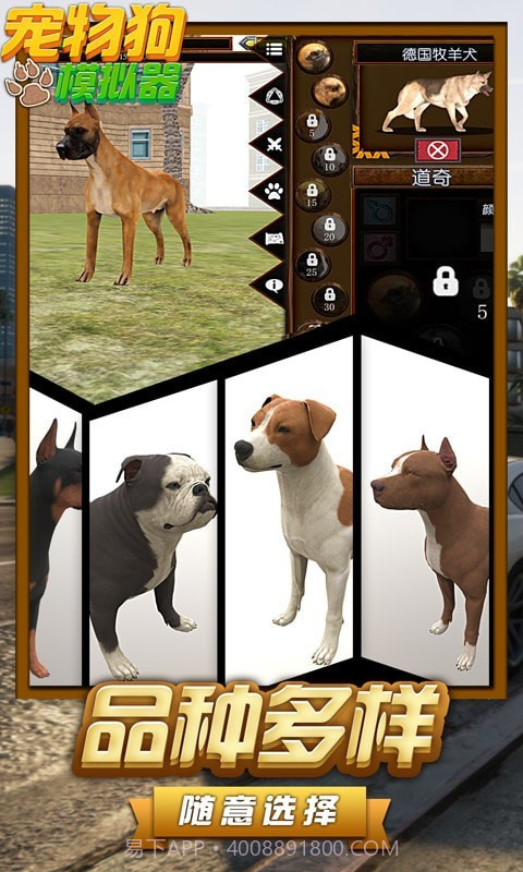 宠物狗模拟器截图3