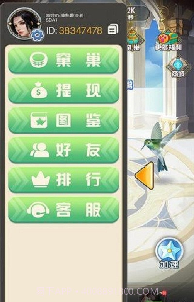 白羽千翎截图2 白羽千翎截图2