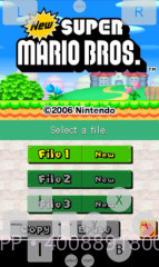 NDS模拟器:Dsoid截图1