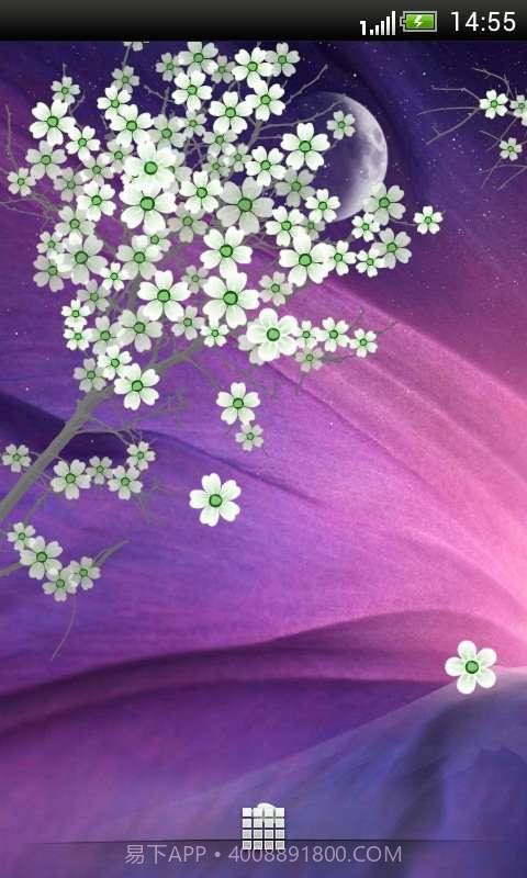高清樱花动态壁纸截图1 高清樱花动态壁纸截图1