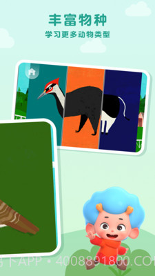 动物趣味配对截图4 动物趣味配对截图4
