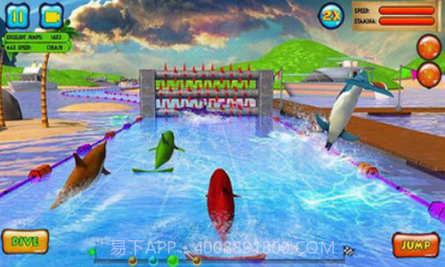 海豚比赛3D截图3 海豚比赛3D截图3